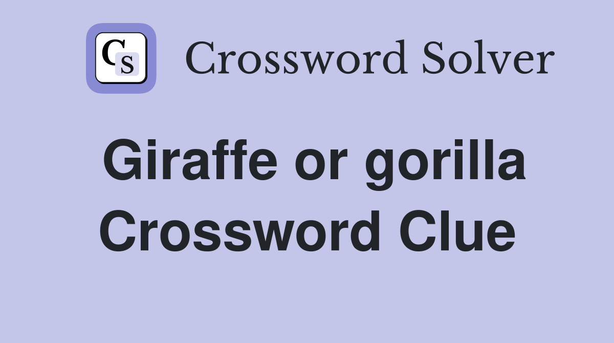 Giraffe or gorilla Crossword Clue