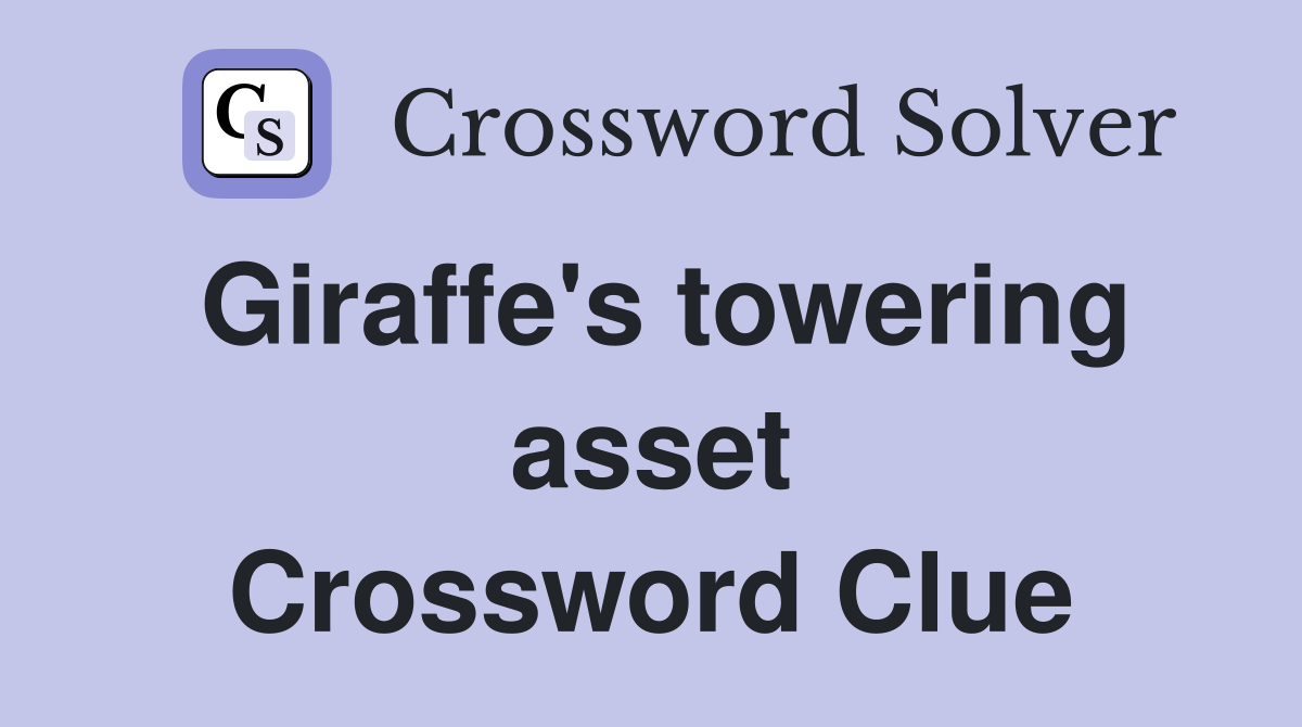 Giraffe's towering asset Crossword Clue