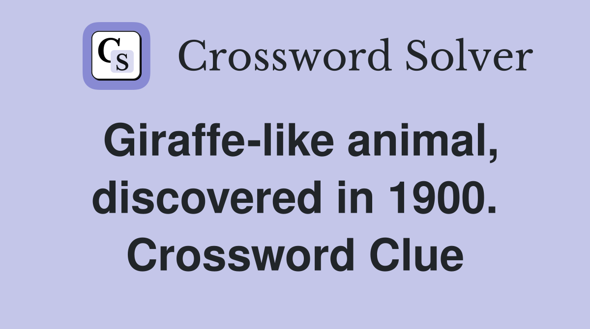 Giraffe-like animal, discovered in 1900. Crossword Clue