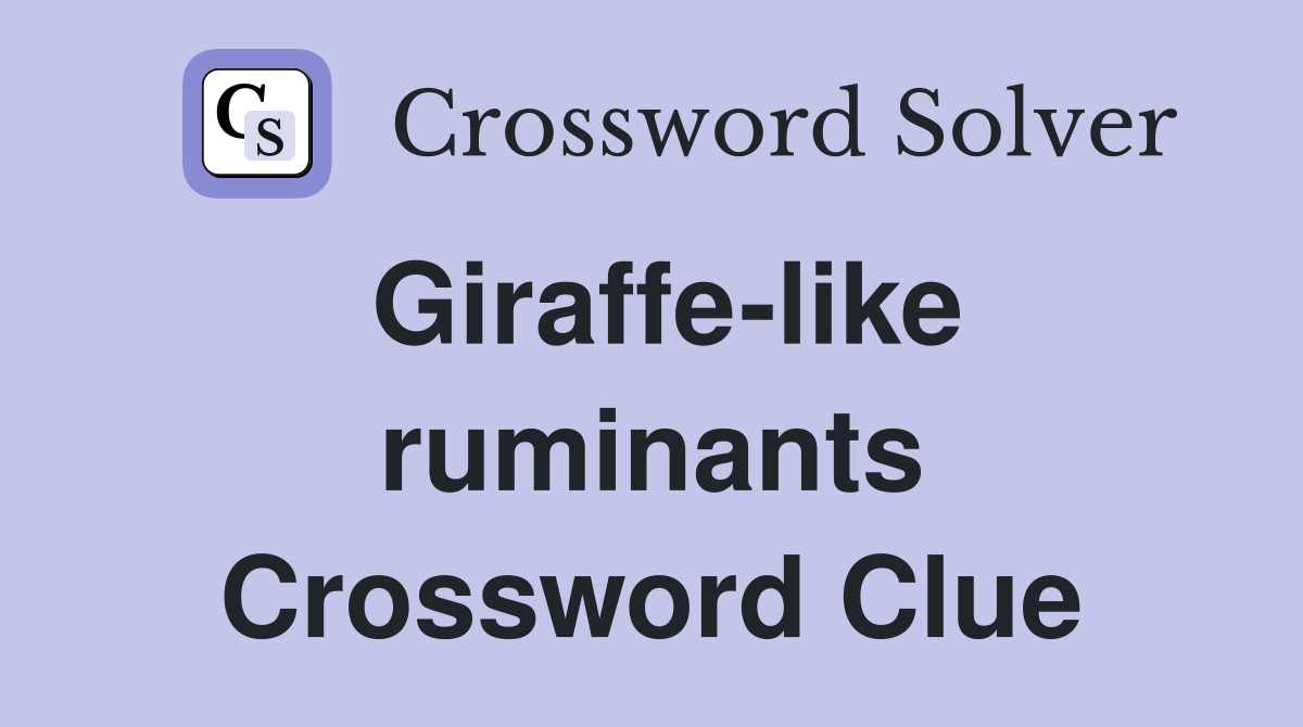 Giraffe-like ruminants Crossword Clue