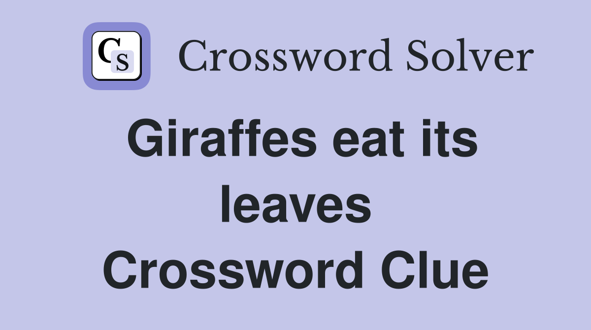 Giraffes eat its leaves Crossword Clue
