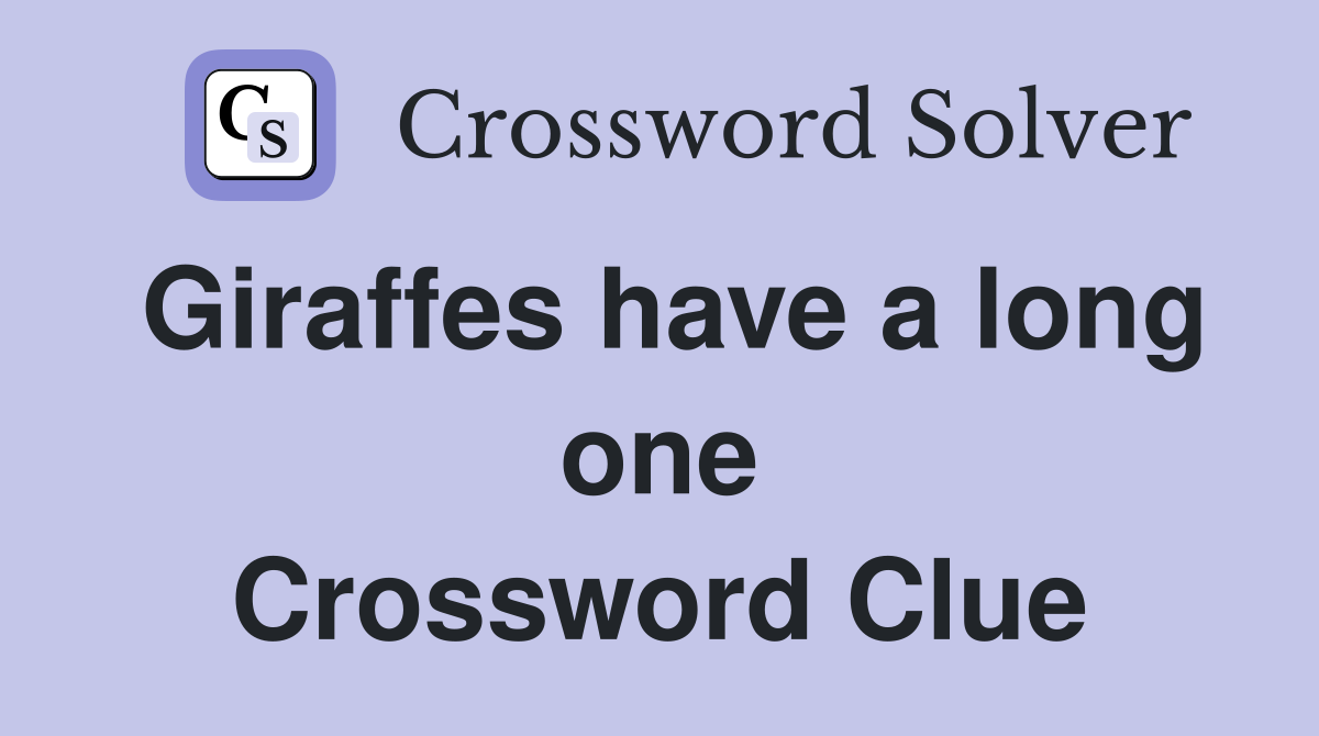 Giraffes have a long one Crossword Clue