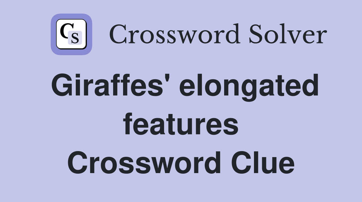Giraffes' elongated features Crossword Clue