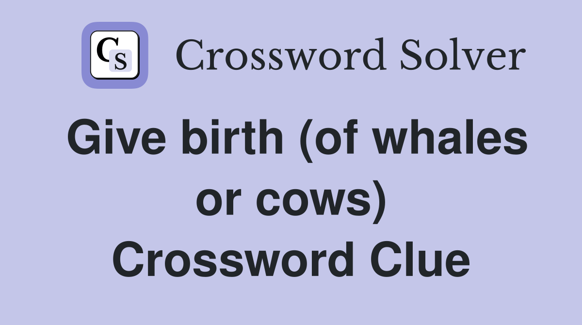 Give birth (of whales or cows) Crossword Clue