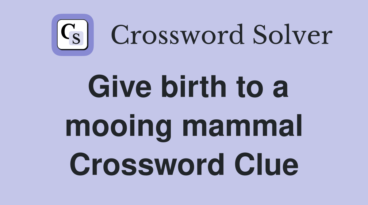 Give birth to a mooing mammal Crossword Clue