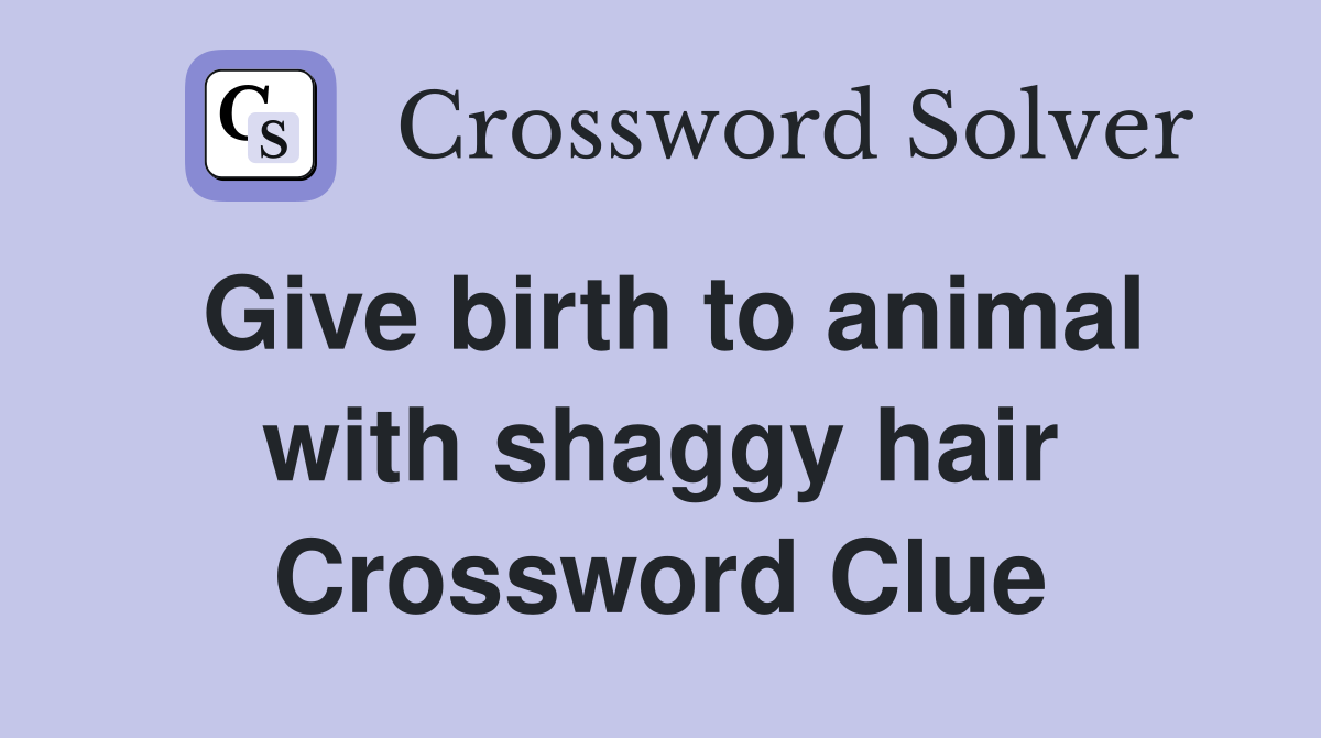 Give birth to animal with shaggy hair Crossword Clue