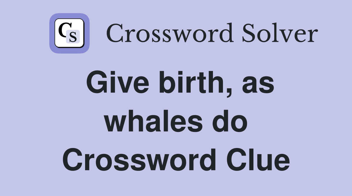 Give birth, as whales do Crossword Clue