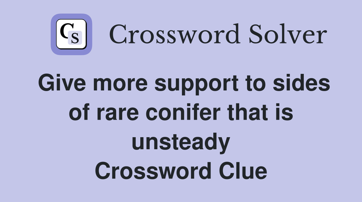 Give more support to sides of rare conifer that is unsteady Crossword Clue