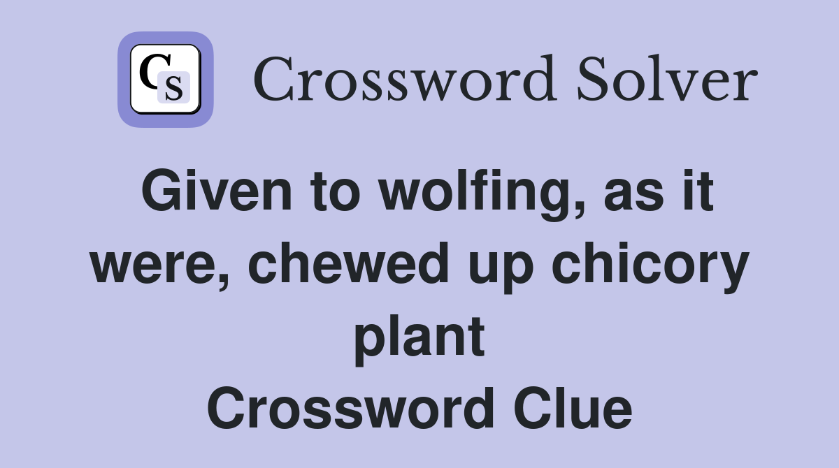 Given to wolfing, as it were, chewed up chicory plant Crossword Clue