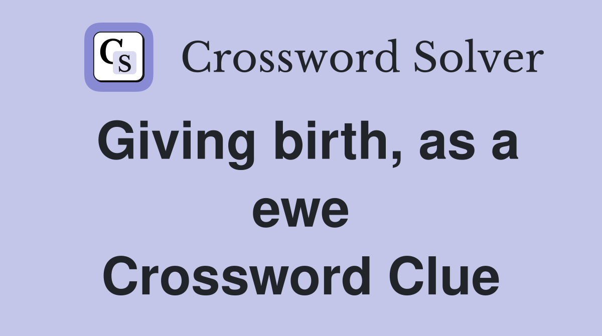 Giving birth, as a ewe Crossword Clue
