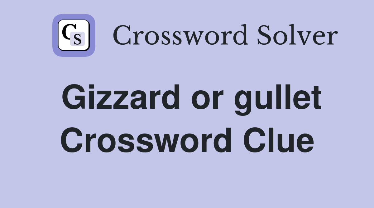 Gizzard or gullet Crossword Clue