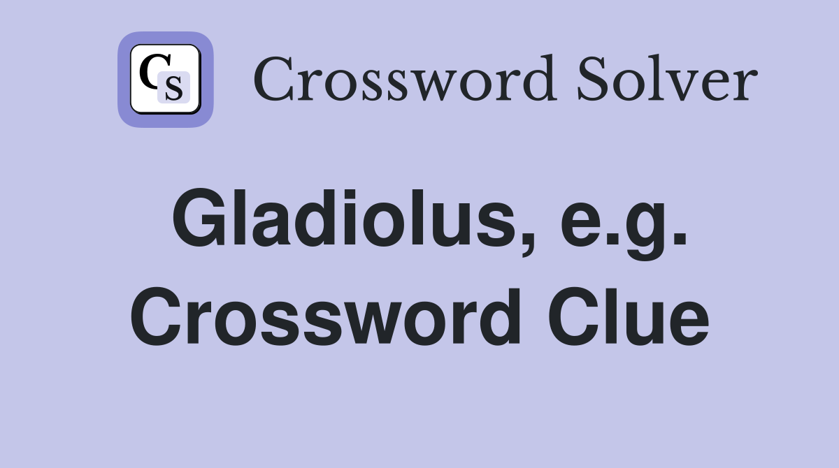Gladiolus, e.g. Crossword Clue