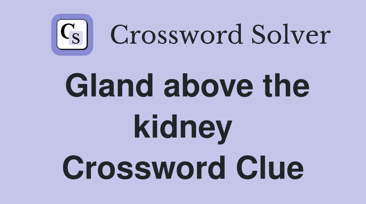 Gland above the kidney Crossword Clue