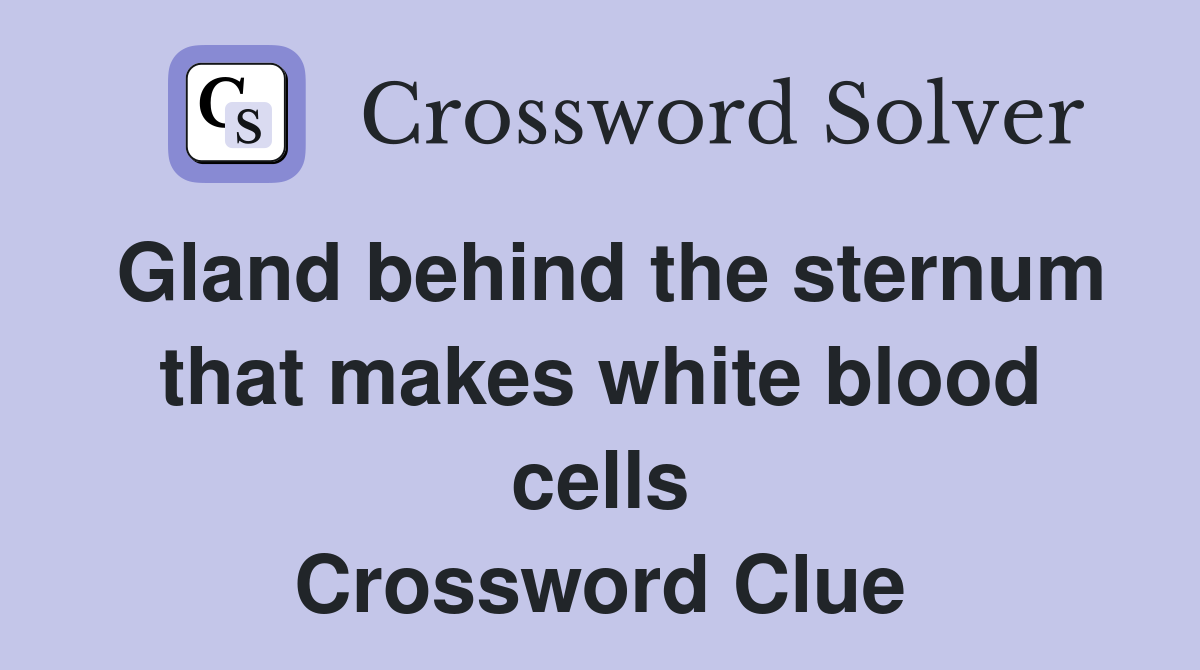 Gland behind the sternum that makes white blood cells Crossword Clue