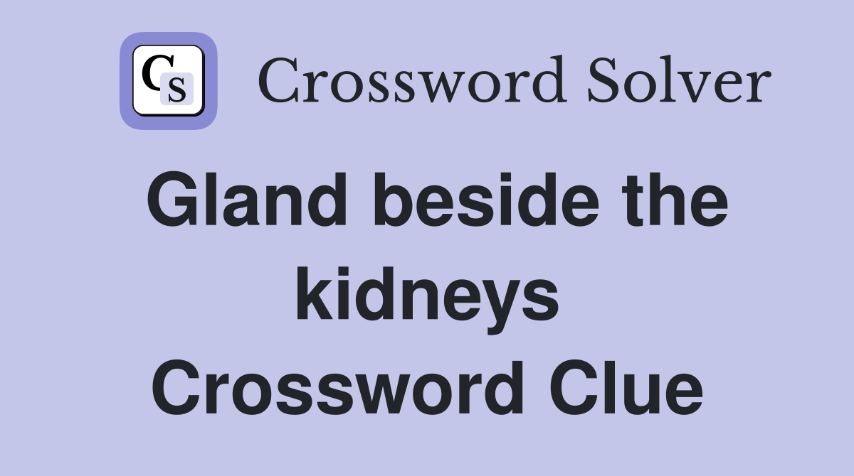 Gland beside the kidneys Crossword Clue