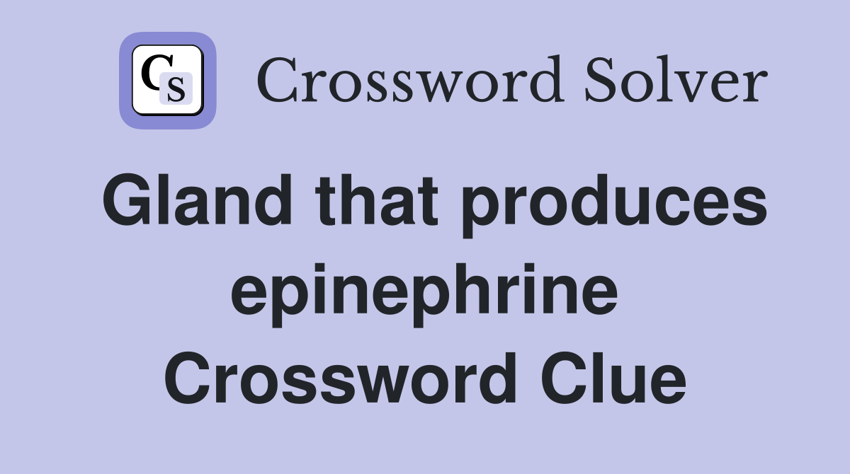 Gland that produces epinephrine Crossword Clue