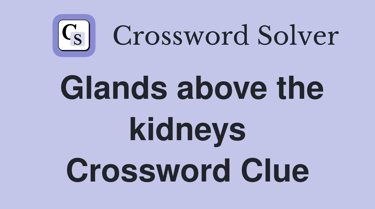 Glands above the kidneys Crossword Clue