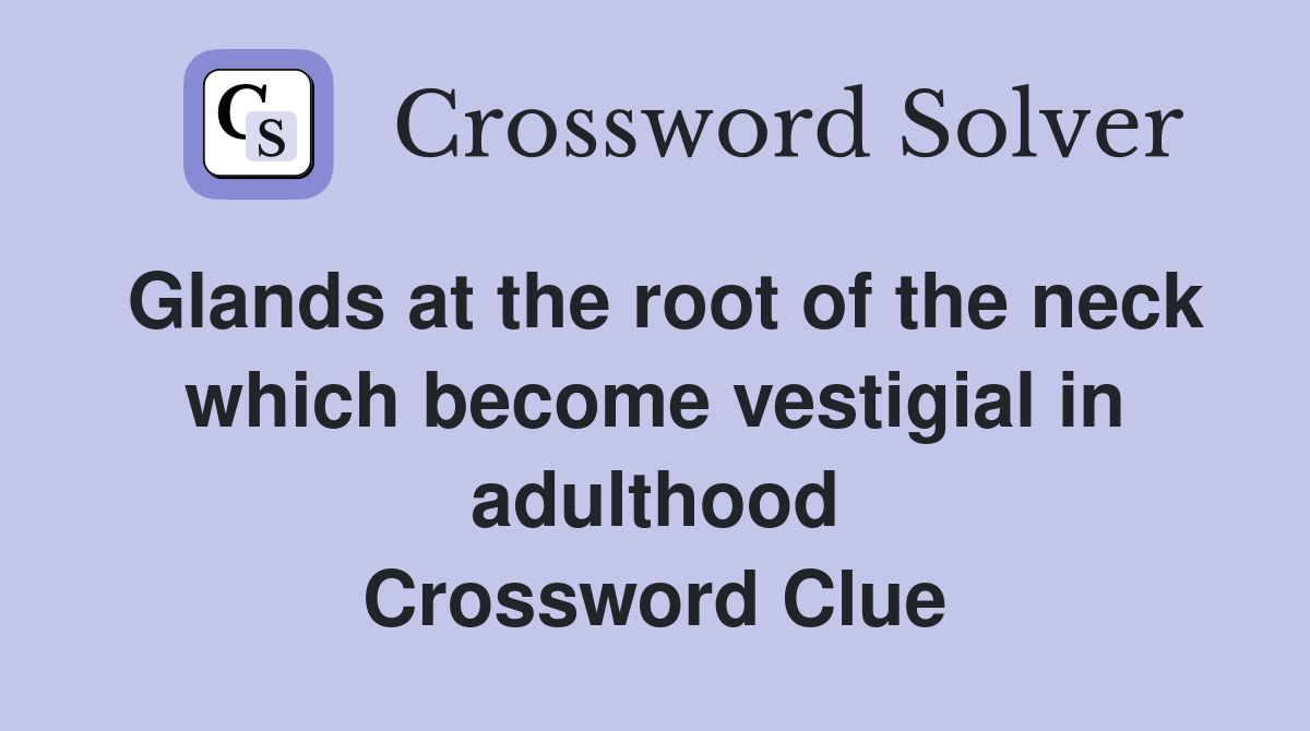 Glands at the root of the neck which become vestigial in adulthood Crossword Clue