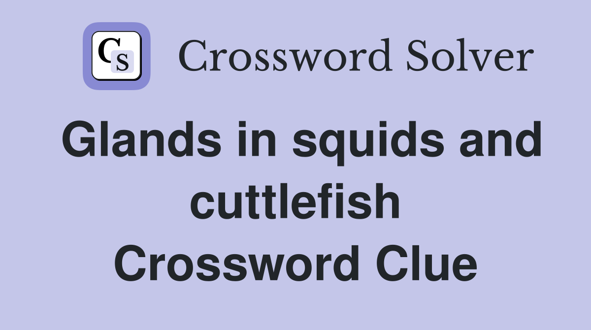 Glands in squids and cuttlefish Crossword Clue