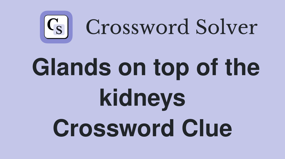 Glands on top of the kidneys Crossword Clue