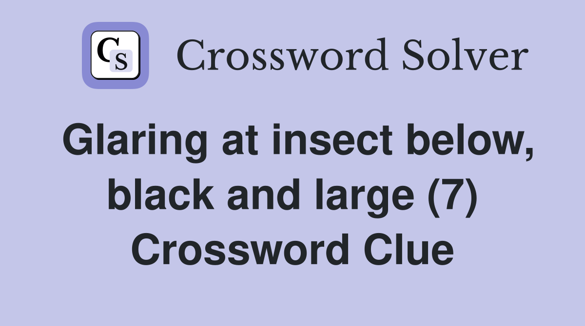 Glaring at insect below, black and large (7) Crossword Clue