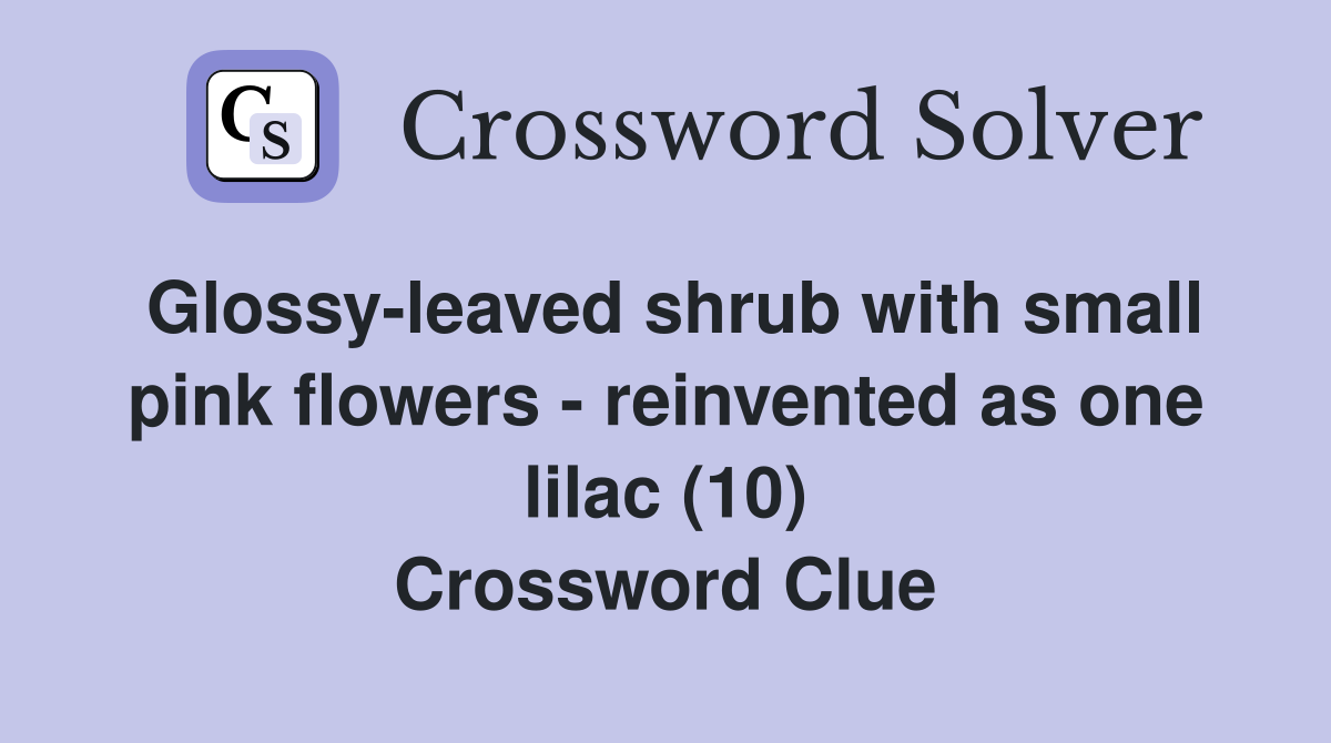 Glossy-leaved shrub with small pink flowers - reinvented as one lilac (10) Crossword Clue