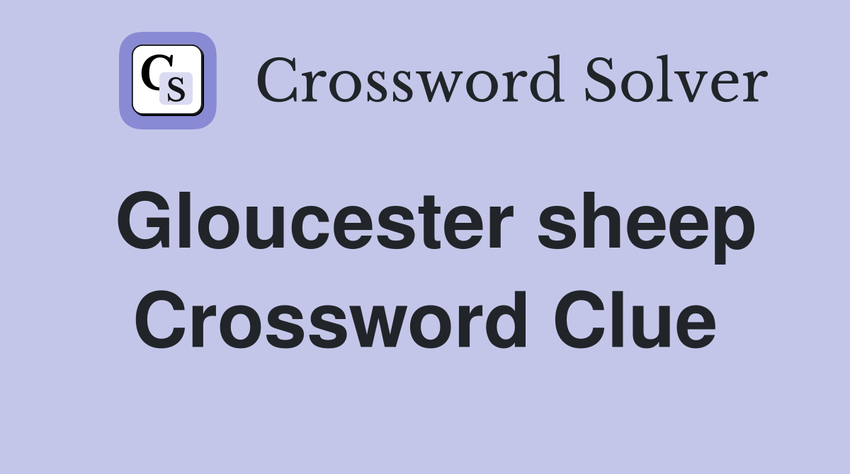 Gloucester sheep Crossword Clue
