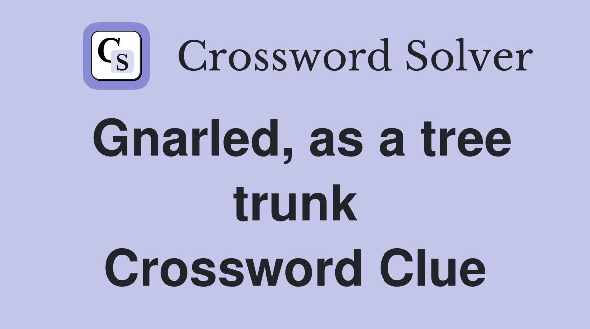 Gnarled, as a tree trunk Crossword Clue