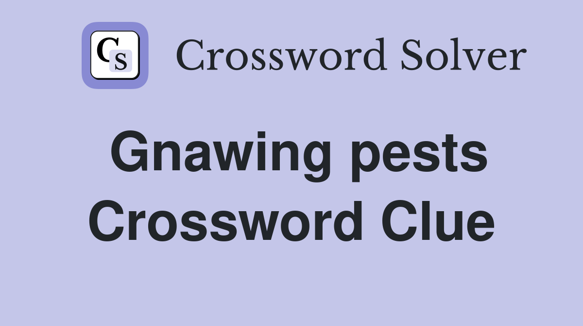 Gnawing pests Crossword Clue
