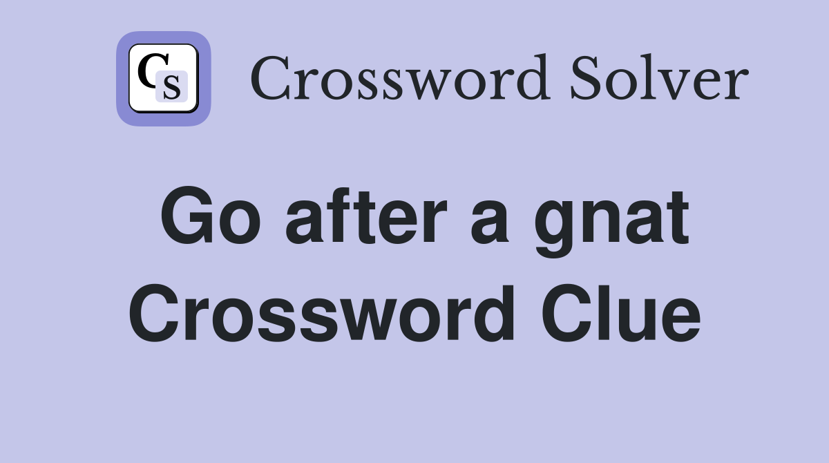 Go after a gnat Crossword Clue