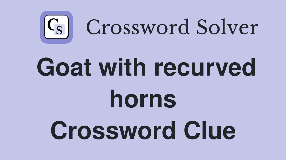 Goat with recurved horns Crossword Clue