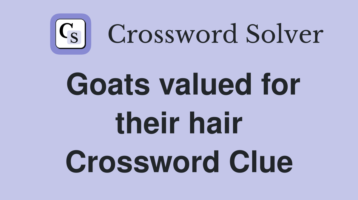 Goats valued for their hair Crossword Clue