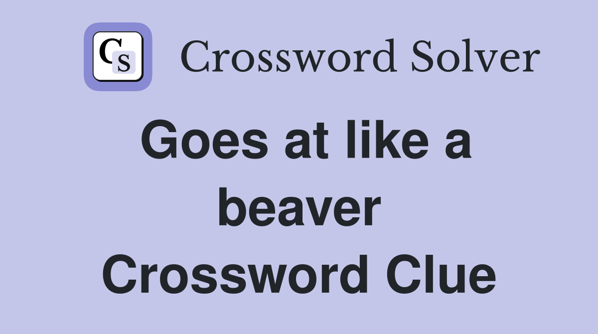 Goes at like a beaver Crossword Clue