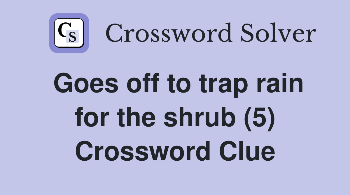 Goes off to trap rain for the shrub (5) Crossword Clue