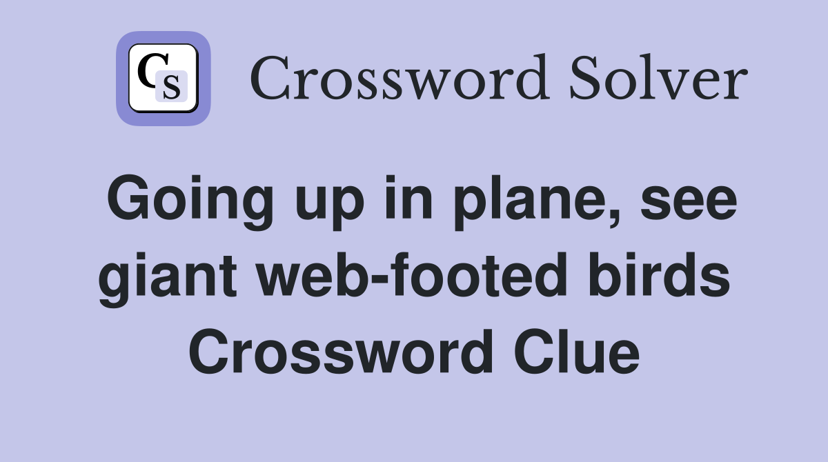 Going up in plane, see giant web-footed birds Crossword Clue