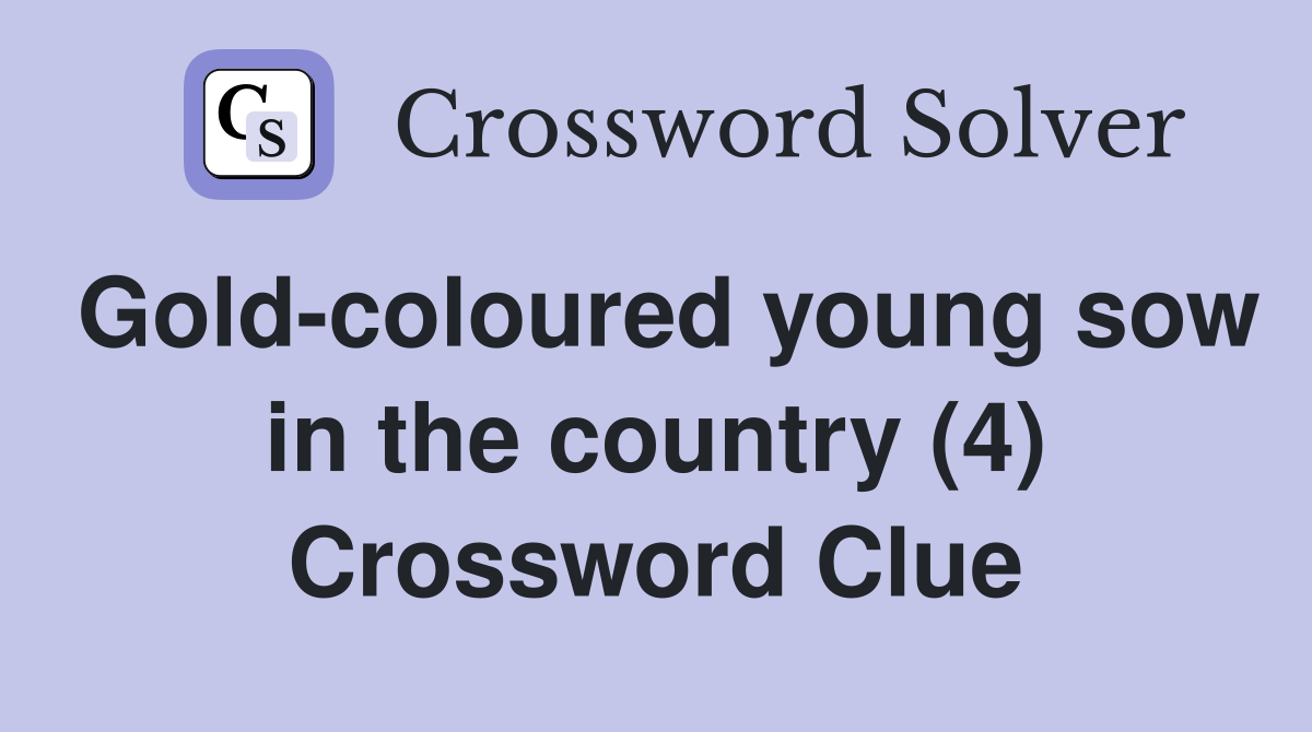 Gold-coloured young sow in the country (4) Crossword Clue