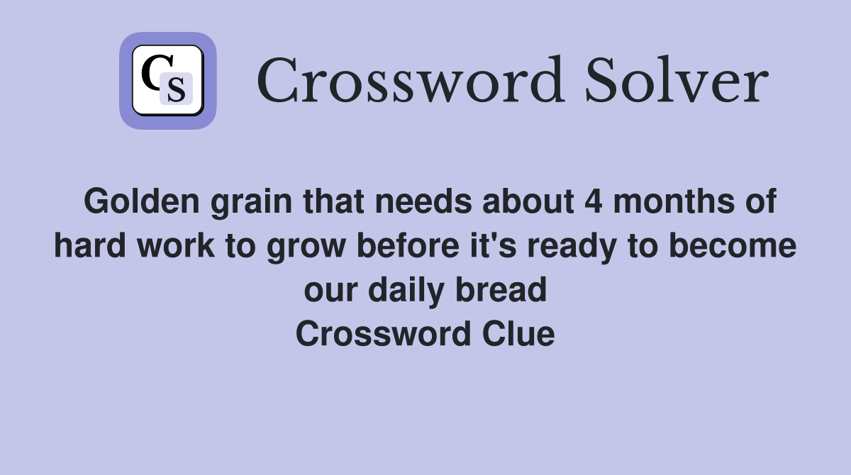Golden grain that needs about 4 months of hard work to grow before it's ready to become our daily bread Crossword Clue