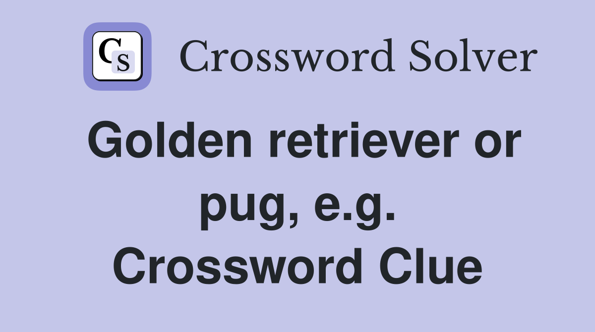 Golden retriever or pug, e.g. Crossword Clue