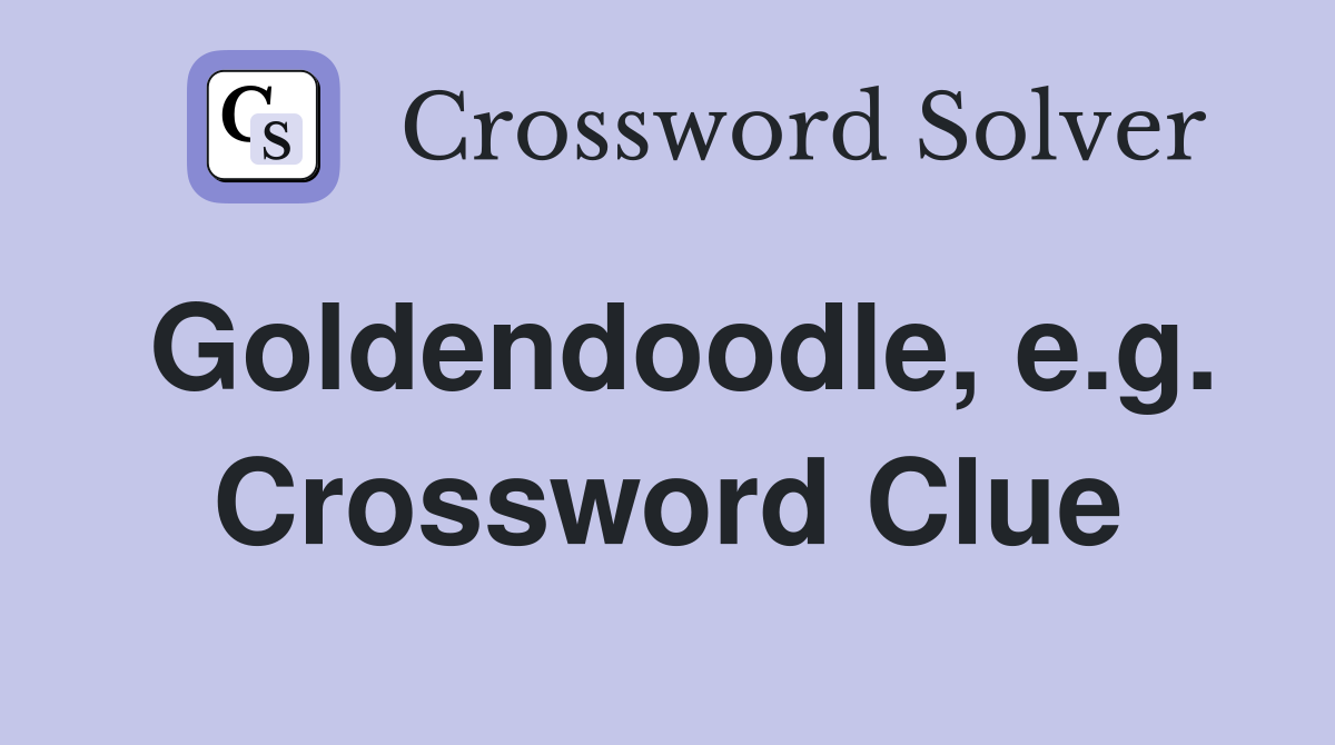 Goldendoodle, e.g. Crossword Clue