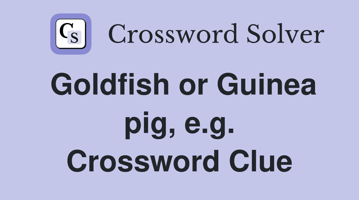 Goldfish or Guinea pig, e.g. Crossword Clue