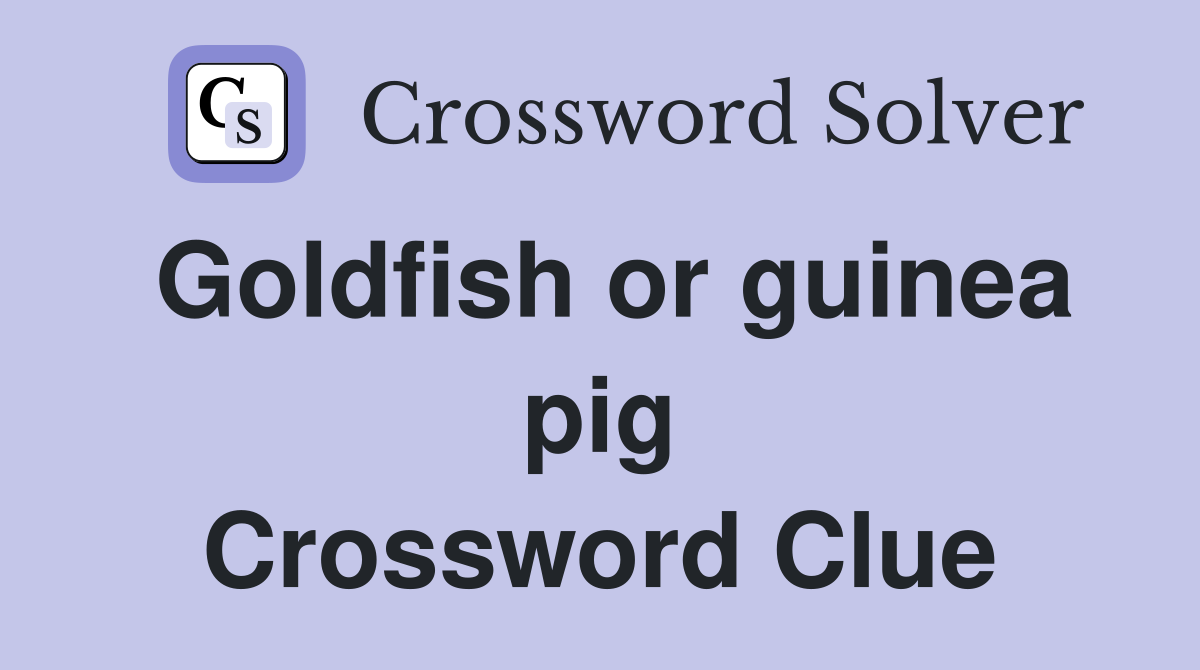 Goldfish or guinea pig Crossword Clue