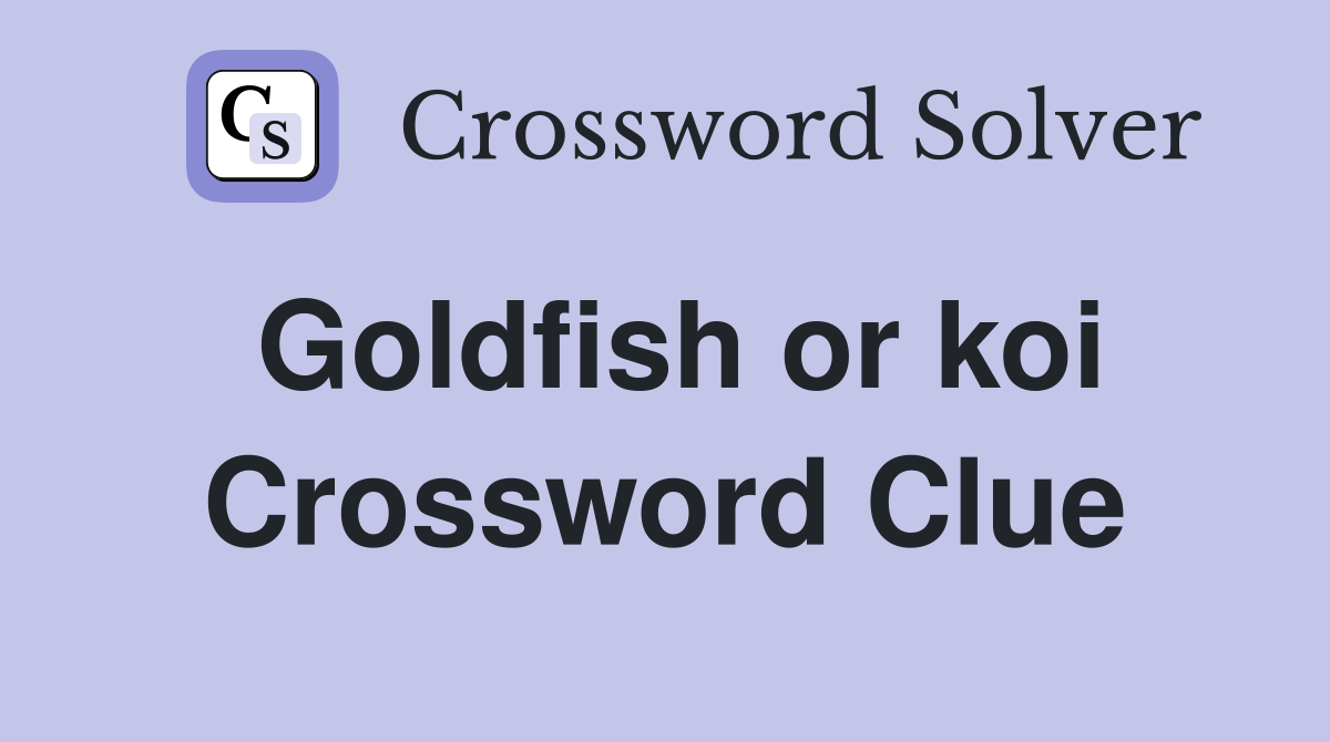Goldfish or koi Crossword Clue