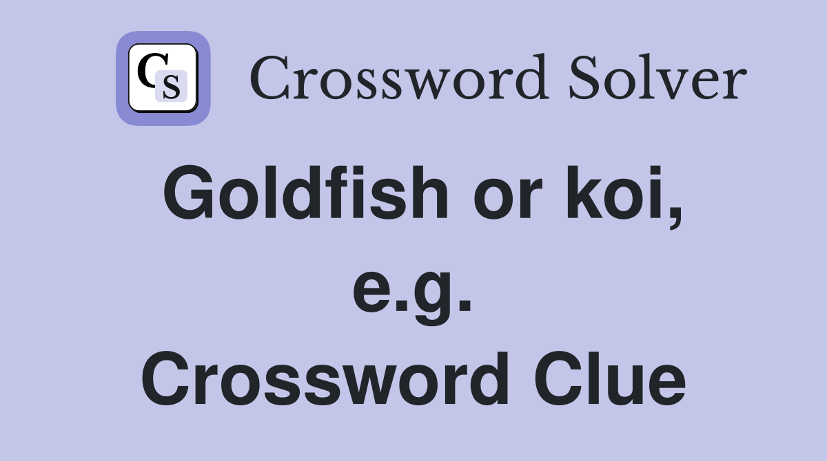Goldfish or koi, e.g. Crossword Clue