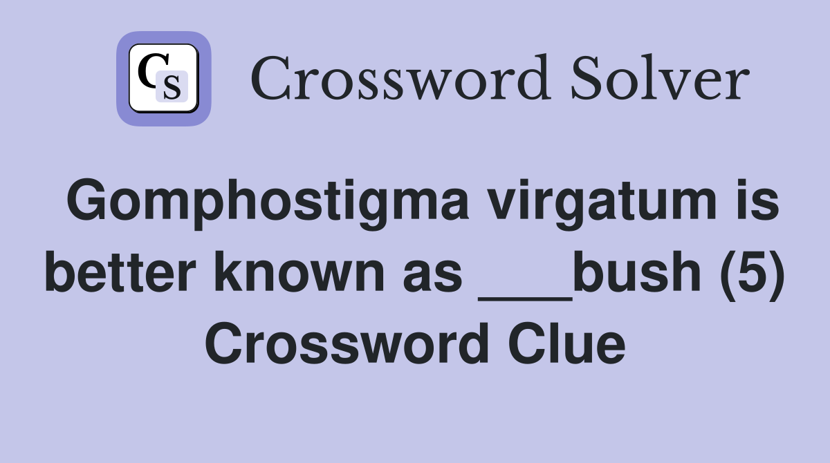 Gomphostigma virgatum is better known as ___bush (5) Crossword Clue