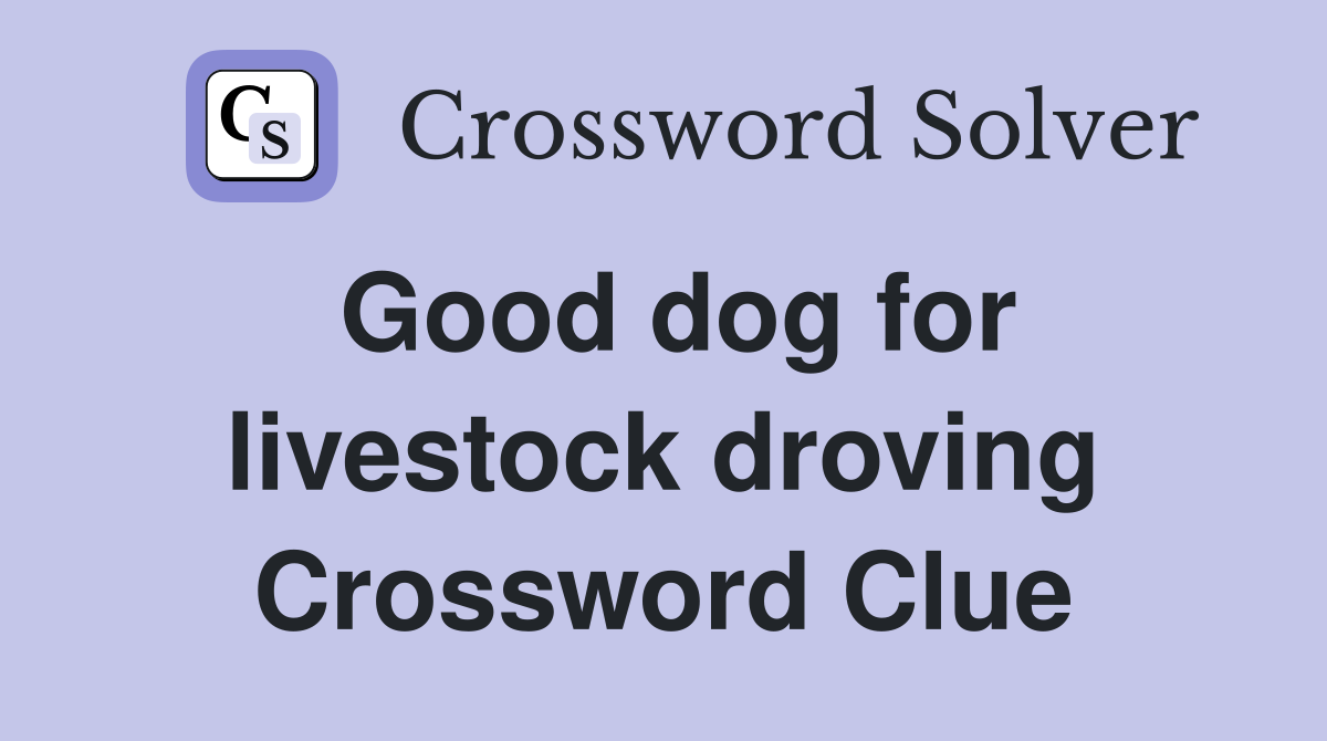 Good dog for livestock droving Crossword Clue