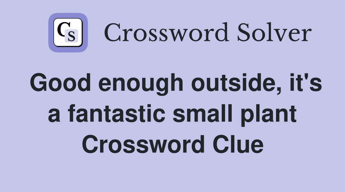 Good enough outside, it's a fantastic small plant Crossword Clue