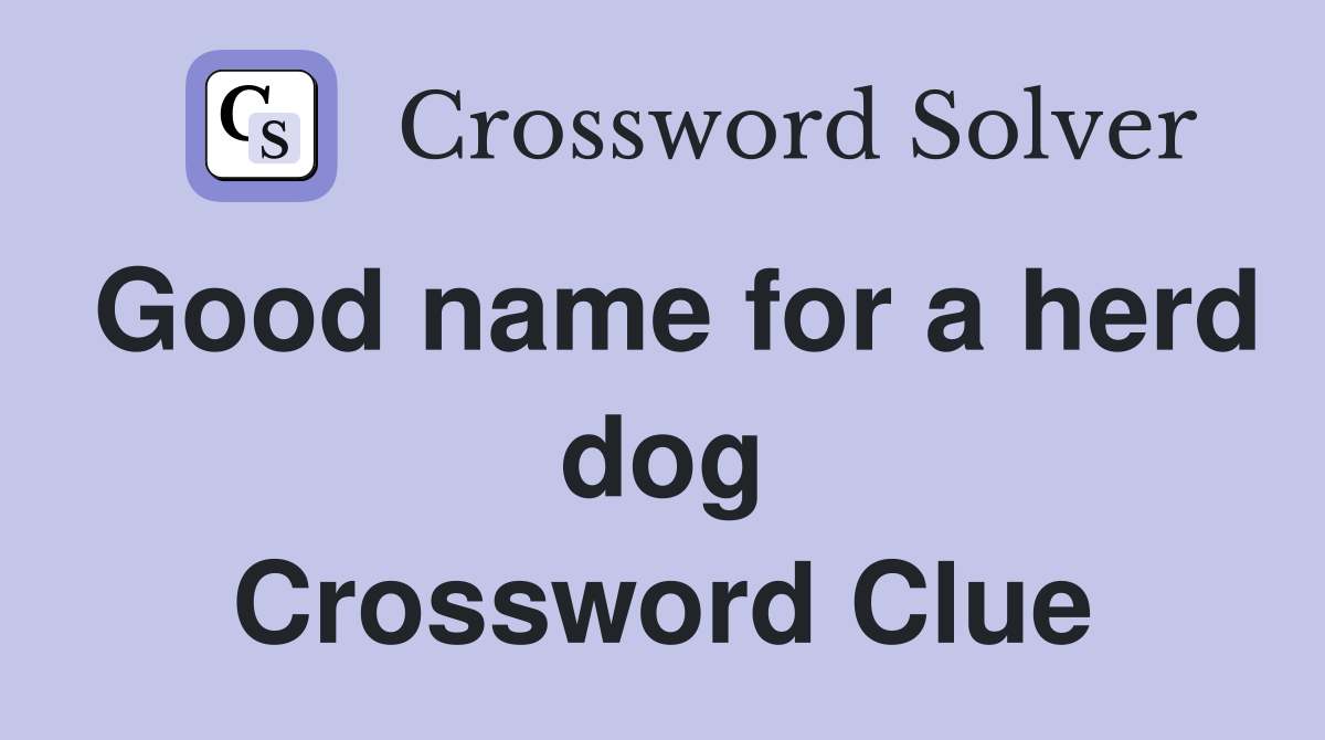 Good name for a herd dog Crossword Clue