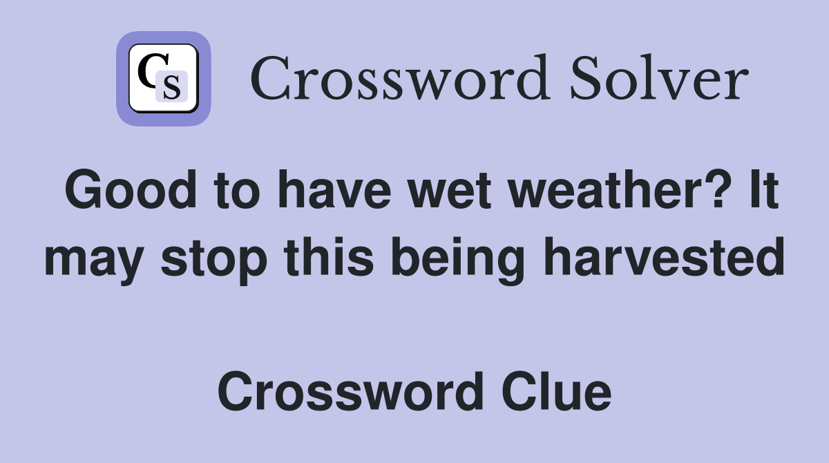 Good to have wet weather? It may stop this being harvested  Crossword Clue