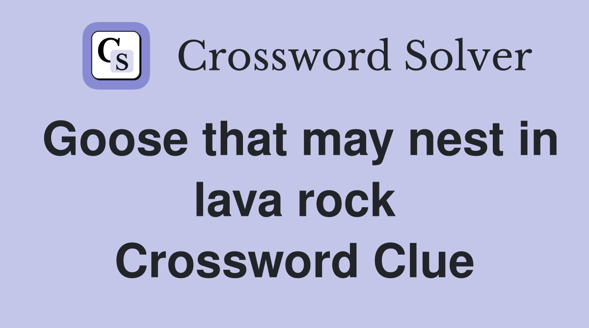Goose that may nest in lava rock Crossword Clue