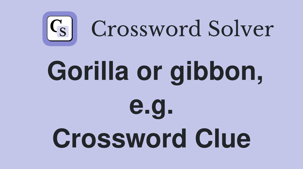 Gorilla or gibbon, e.g. Crossword Clue